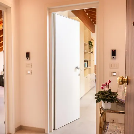 Achillea * Pieve di Soligo