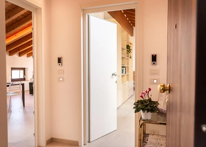 Achillea * Pieve di Soligo